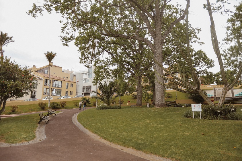 Park in a city center of Ponta Delgada