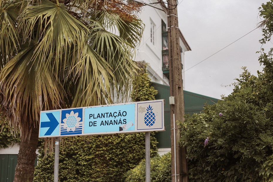 Pineapple plantation sign