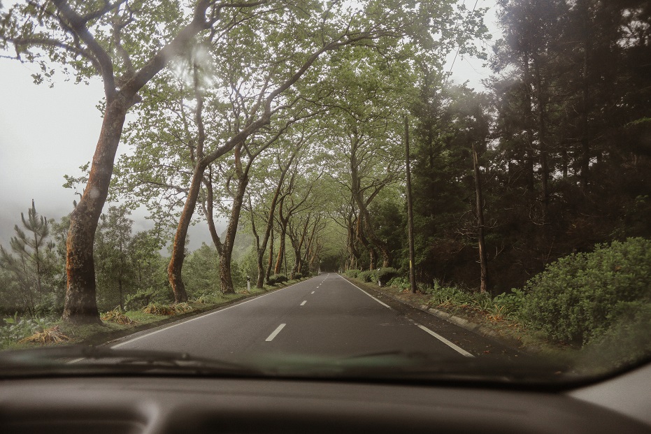 Road to the Furnas village on San Miguel